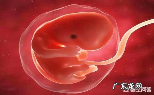 怀孕到了第4个月的时候是什么感觉呢?