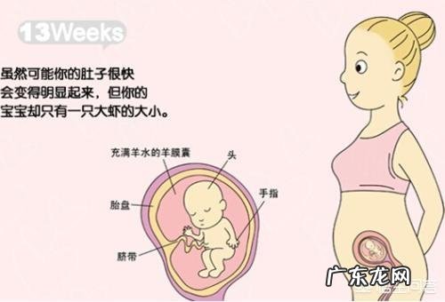 怀孕到了第4个月的时候是什么感觉呢？