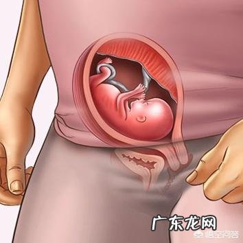 怀孕到了第4个月的时候是什么感觉呢？