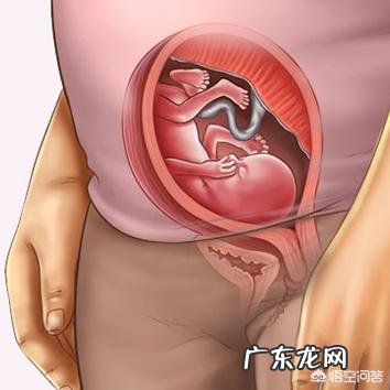 怀孕到了第4个月的时候是什么感觉呢？