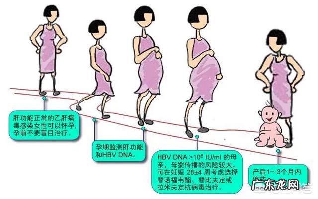 乙肝大三阳怀孕了该怎么办？