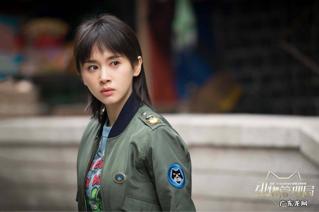 动物管理局人物都是什么动物