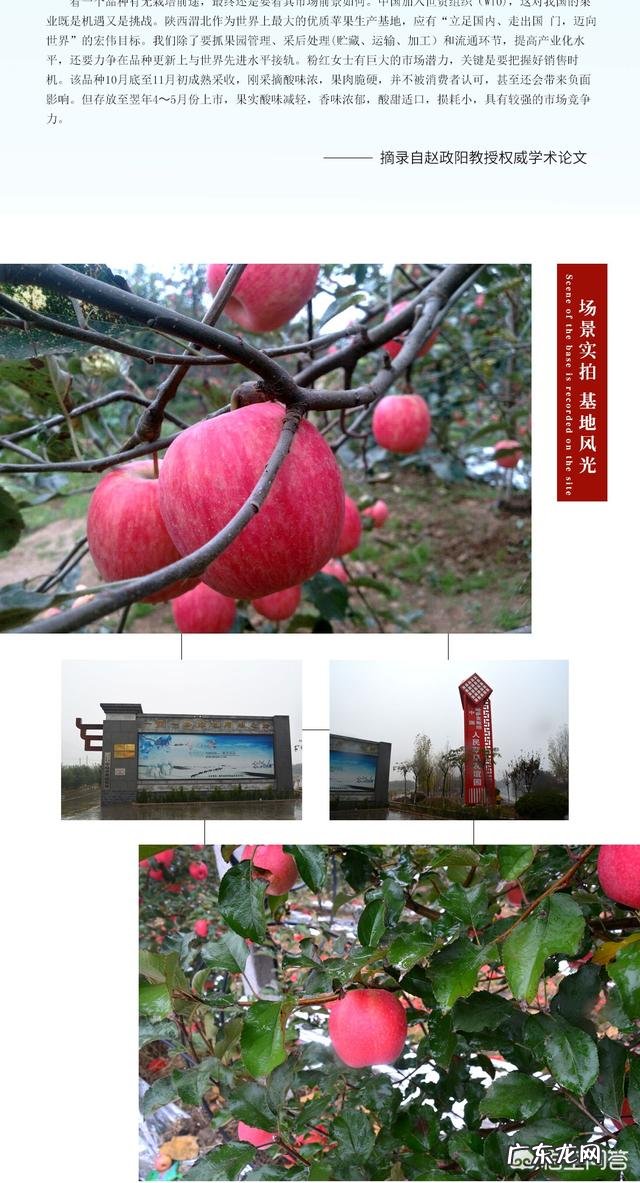 产后穿收腹衣减肥对哺乳有影响吗?怎样减肥既健康、效果又明显?