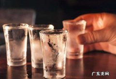 伏特加兑什么好喝