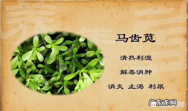 月经期间有哪些蔬菜不能吃?