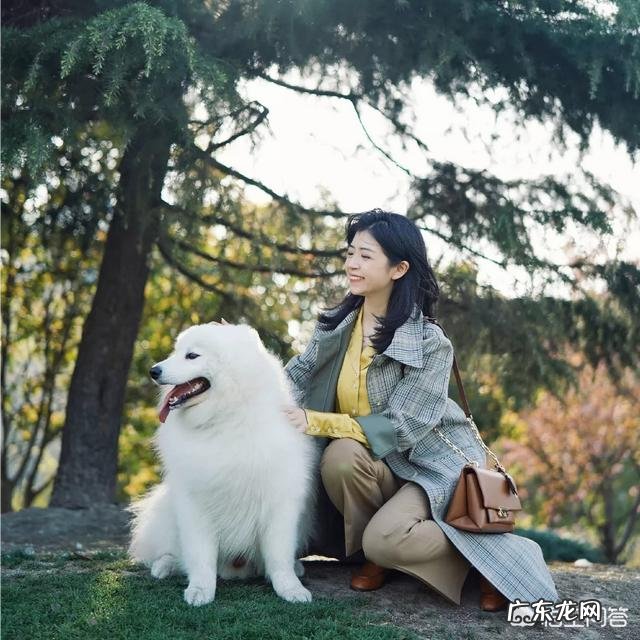 卡其色半身裙可以搭配什么上衣?