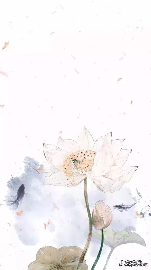 人为什么要爱自己？