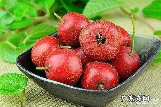 哺乳期不能吃什么?