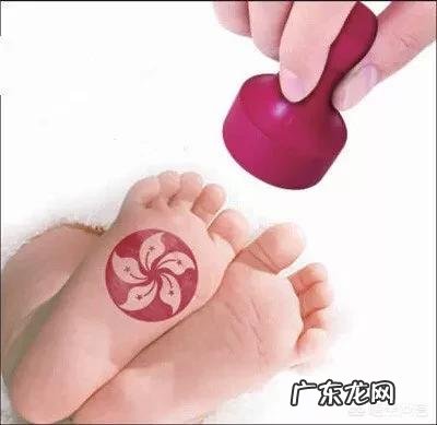 哈尔滨有人赴港生子吗?现在生活怎么样?