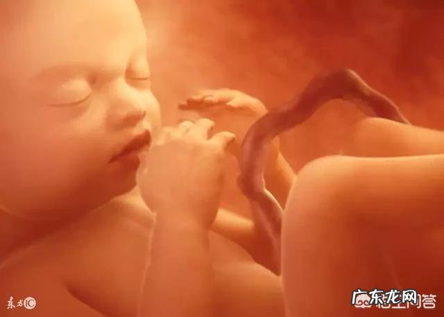 有孕期做过亲子鉴定的吗?