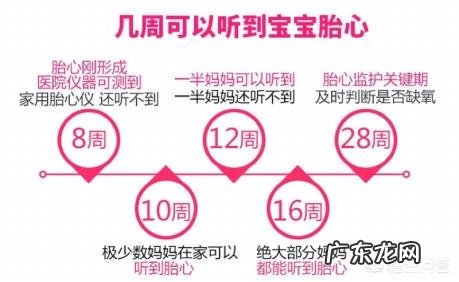 怀孕多久才能看见胎心?