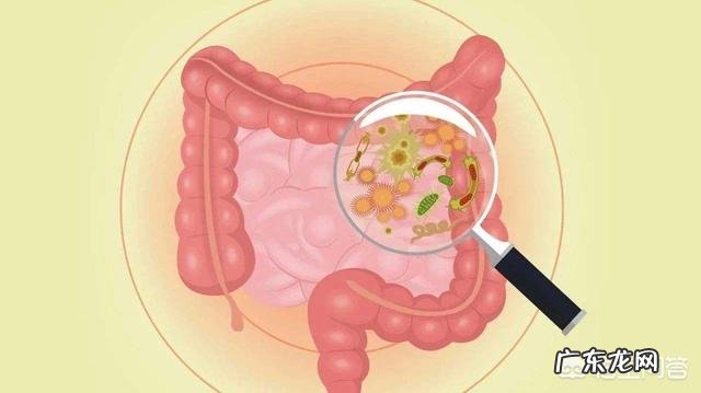 成年人肠胃不好,经常消化不良,该怎么办?