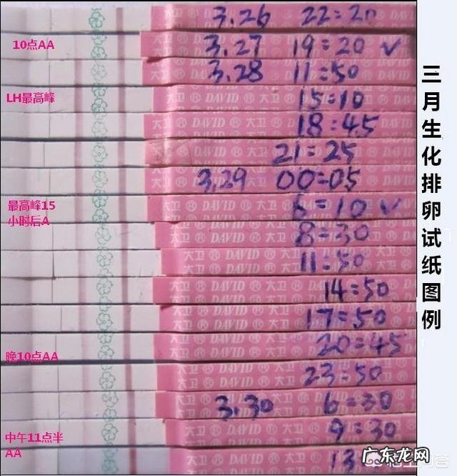 排卵试纸能测出来怀孕吗?白带和排卵有什么区别?