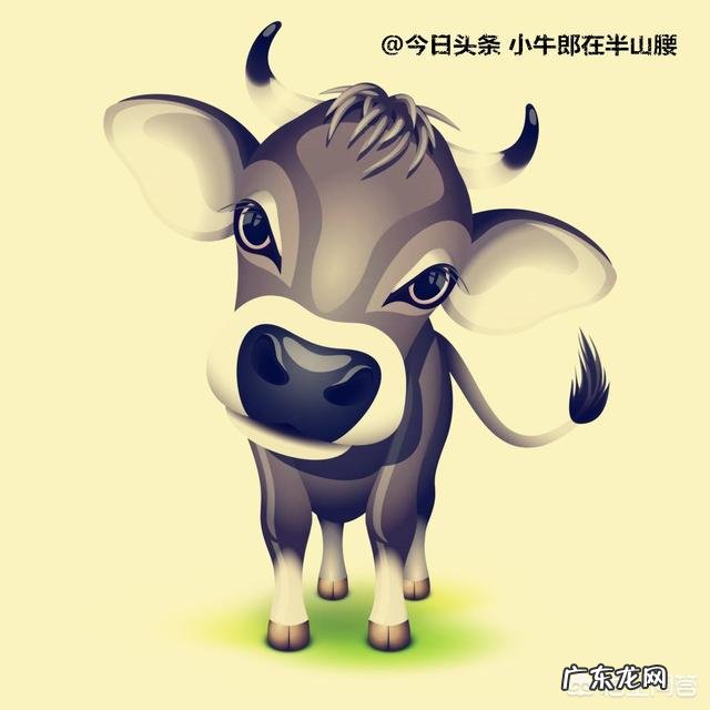 你有哪些赶飞机或者赶火车的经历?