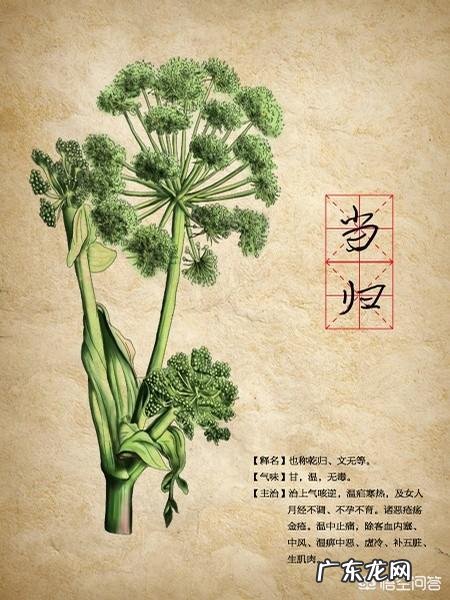 怎样祛斑才是最有效、最安全的？