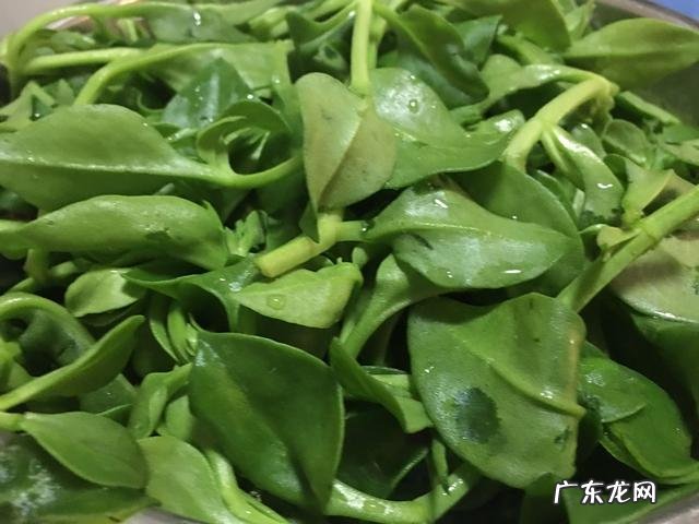 夏天吃什么食物减肥最快?