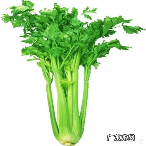 夏天吃什么食物减肥最快?