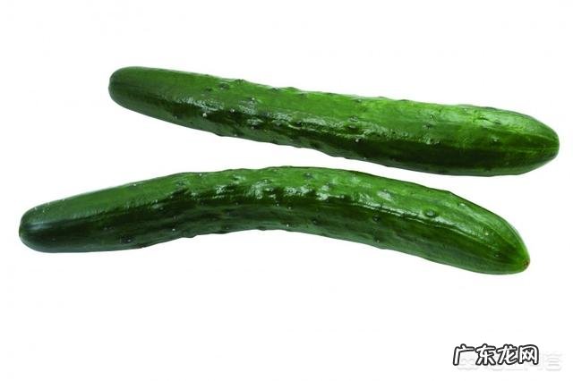 夏天吃什么食物减肥最快?