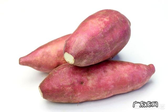 夏天吃什么食物减肥最快?