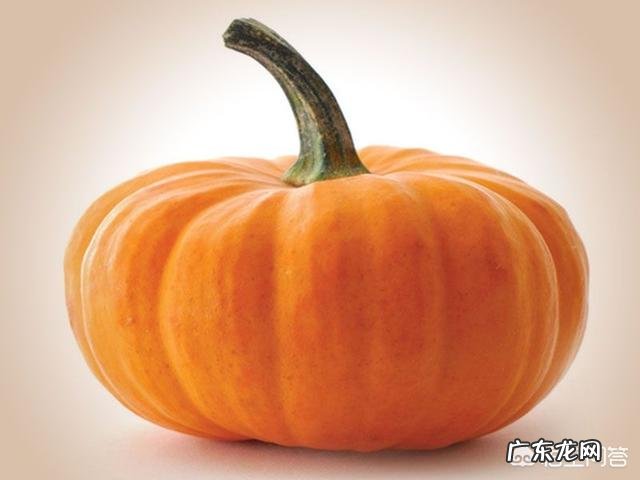 夏天吃什么食物减肥最快?