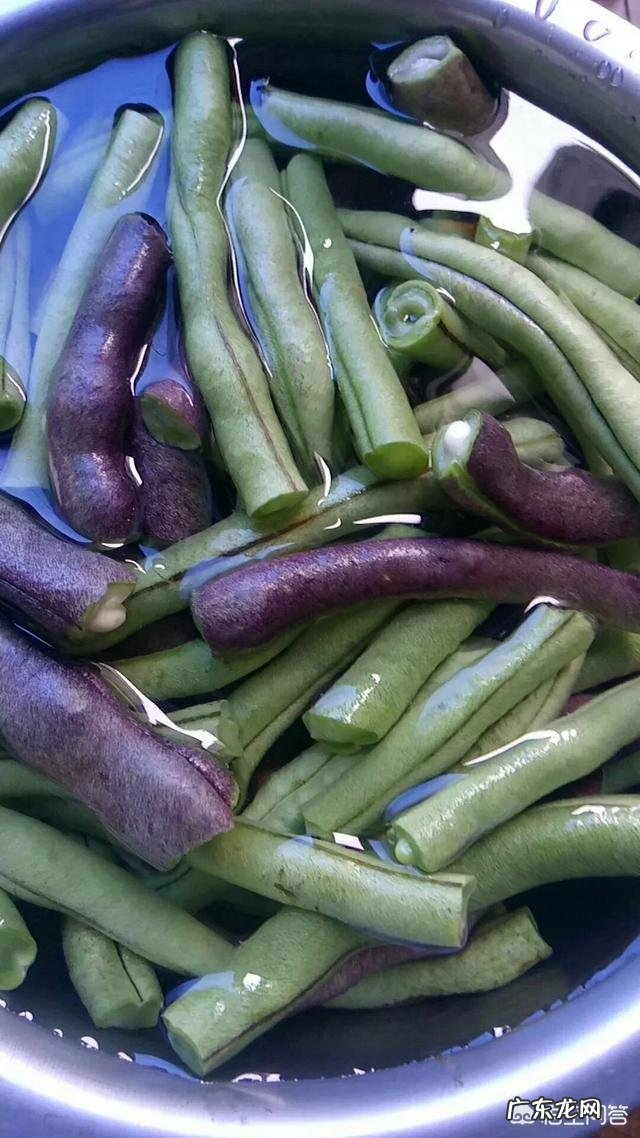 夏天吃什么食物减肥最快?