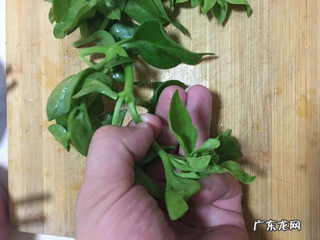 夏天吃什么食物减肥最快?