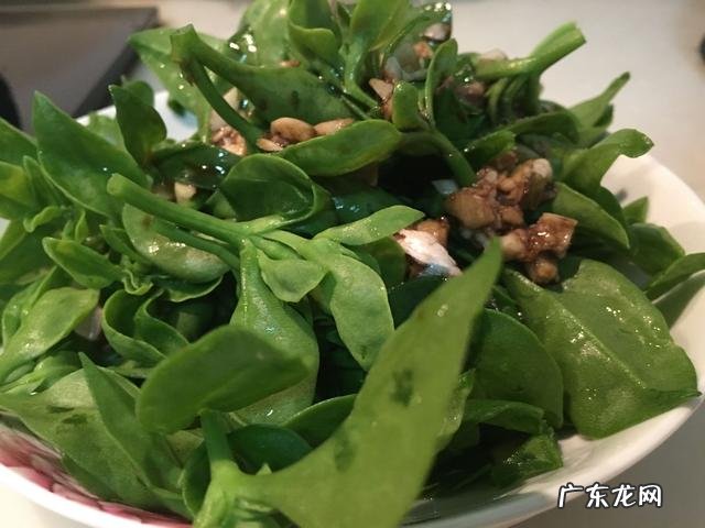 夏天吃什么食物减肥最快?