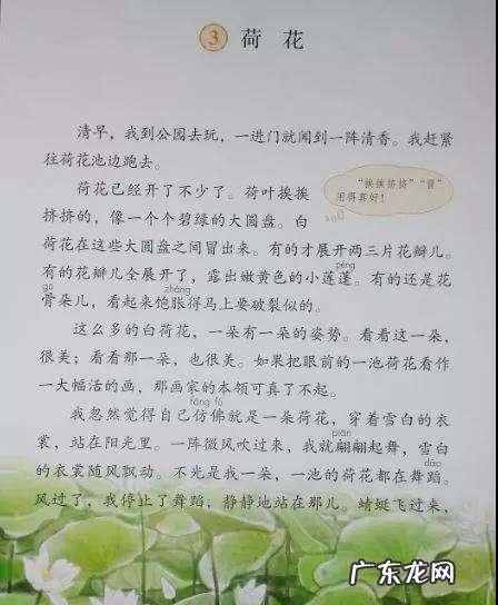 叶圣陶笔下的荷花姿态是什么样的?