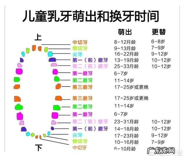 宝宝什么时候会长牙,长牙初期都会有哪些症状 ?