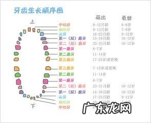 宝宝什么时候会长牙,长牙初期都会有哪些症状 ?