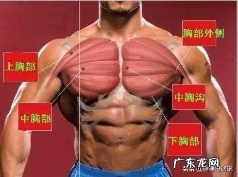 本人疫情期在家练胸肌,下图是放松和紧绷时,指教轮廓有何问题?