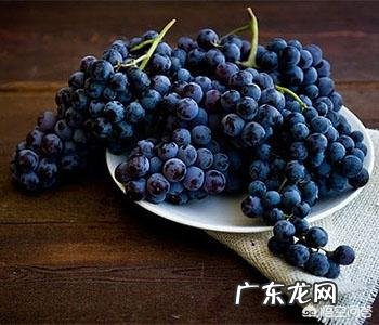 孕妇吃葡萄对身体好吗?