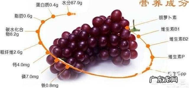 孕妇吃葡萄对身体好吗?