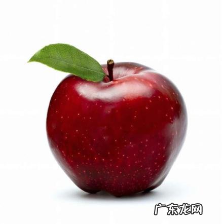 如何减肥瘦身最快?