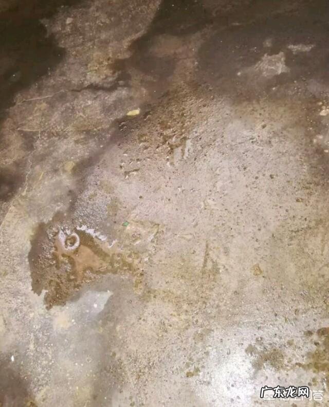 家里地面返潮,该怎么办?