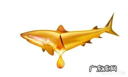 新生儿如何正确吃鱼肝油?