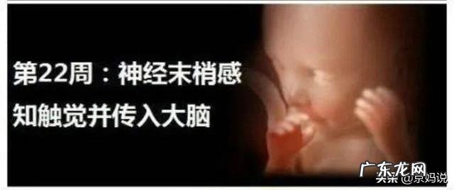 怀孕6个月的胎宝宝是什么状态?准妈妈要注意哪些方面的变化?