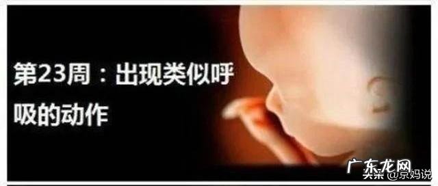 怀孕6个月的胎宝宝是什么状态?准妈妈要注意哪些方面的变化?