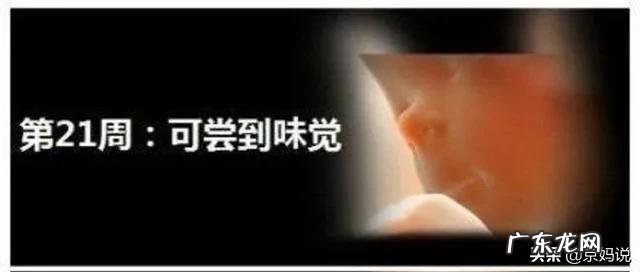 怀孕6个月的胎宝宝是什么状态?准妈妈要注意哪些方面的变化?