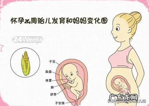 怀孕6个月的胎宝宝是什么状态？准妈妈要注意哪些方面的变化？