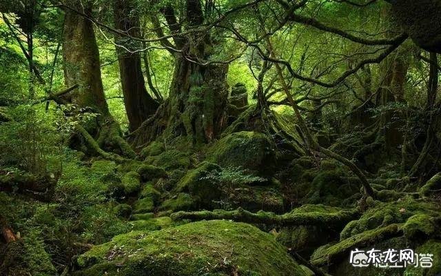 户外活动需要配备什么装备？