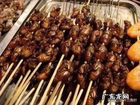 吃知了猴的益处有哪些?