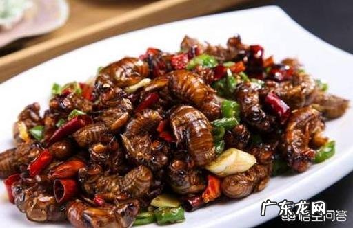 吃知了猴的益处有哪些?