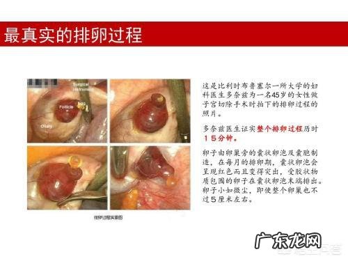 有卵泡不排卵怎么回事?