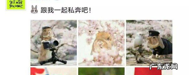 朋友圈点赞怎么显示头像