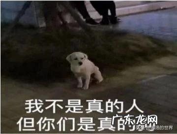 适合男性使用的祛痘印和痘疤的产品和方法有哪些好的推荐？