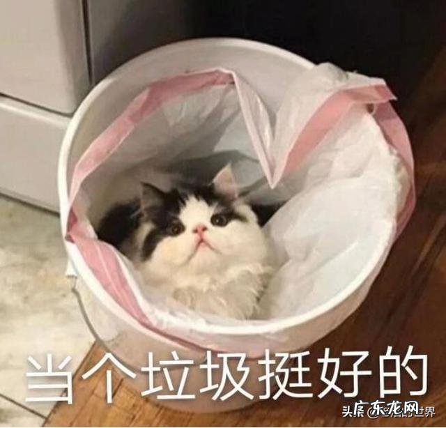 适合男性使用的祛痘印和痘疤的产品和方法有哪些好的推荐？