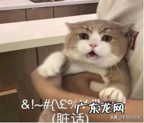 适合男性使用的祛痘印和痘疤的产品和方法有哪些好的推荐？