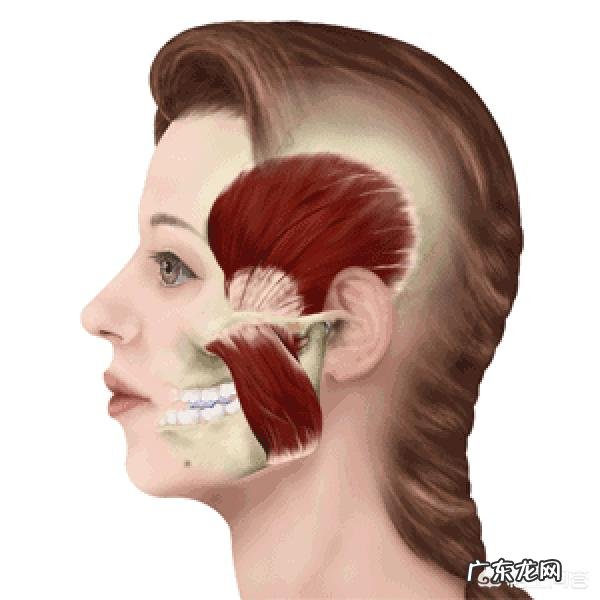 咬肌大的怎么瘦脸?