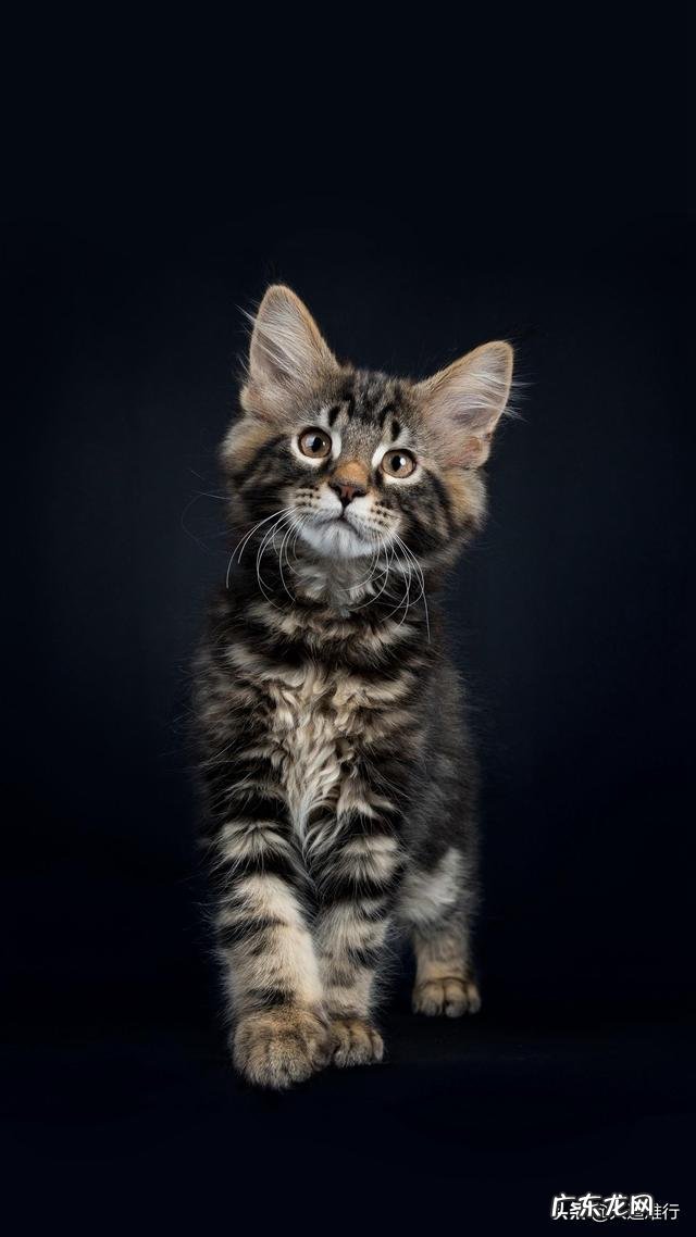 什么是自闭心理?